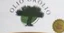 Olio