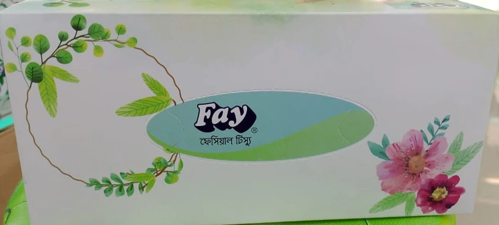Fay Facial Tissue - 200 pcs