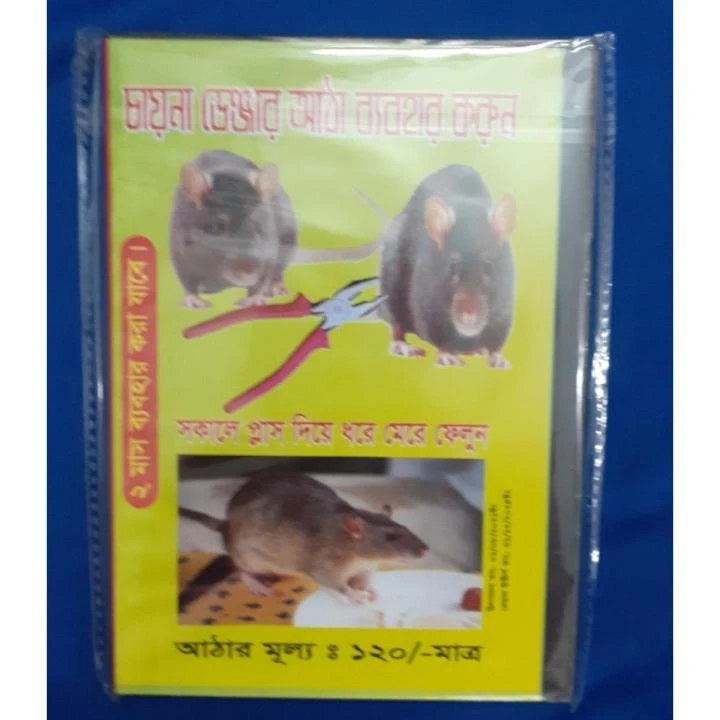 Danger Rat Killer Trap-1 pc