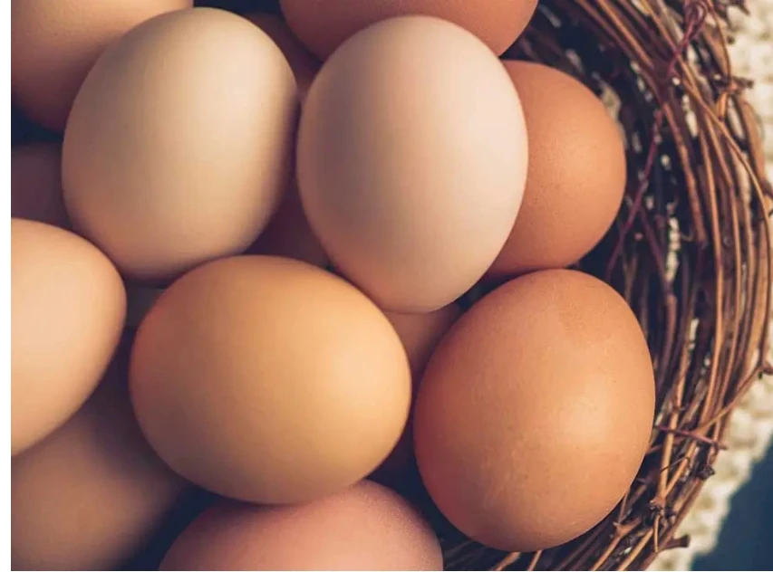 Loose Egg