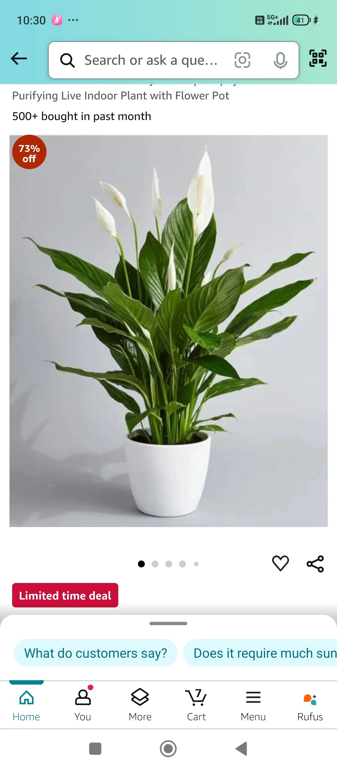 CAPPL Air Purifier Peace Lily Plant